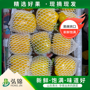 �S�ʽ� ���r���ԟ��\����ʽ���ɫ������֭ɽ�|�����