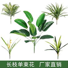 ��֦����ֲ��پGֲ�ٲ��b��������ϻ�ާٻ�������ֲ��쾰