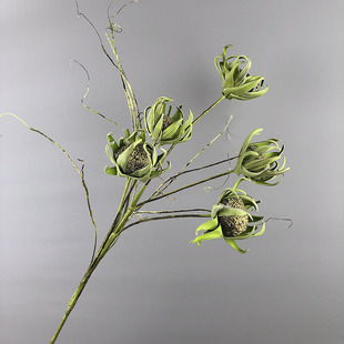 EVA���滨�Ӱ��g�bٻ���ػ���ĭ��ܛ�b��ˇ�Ҿ��b�Y����