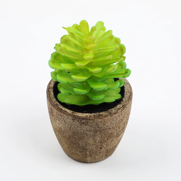 Pine