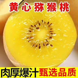 香菇;调味酱;黑木耳