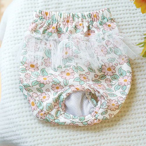 Spot dog physiological pants small dog menstrual period safety pants aunt scarf menstrual period menstrual pants factory direct sales