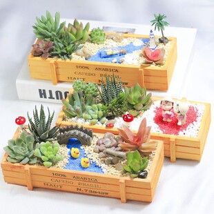 ����ֲ��M�������ײͶ���DIY΢���^���ϰ����躬���҃ȾGֲ���]