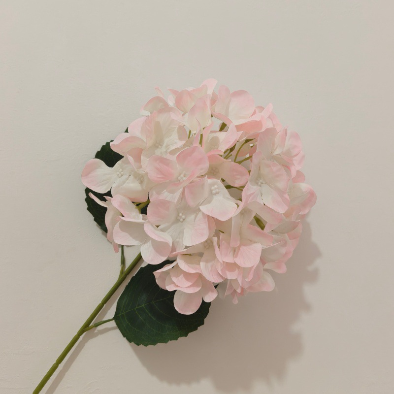 업그레이드된 3D 프린팅 모델 라이트 핑크