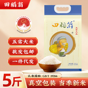 �峣����5����հ��b�������|������10���L�����׮�������