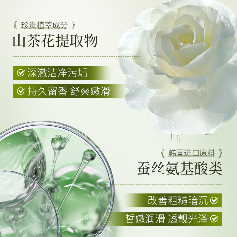 Lan Shi Zhe Shan Camellia Aminoácido Aroma Shampoo Limpieza Profundas para mejorar el cabello peludo Shampoo Lavar Kit image 4