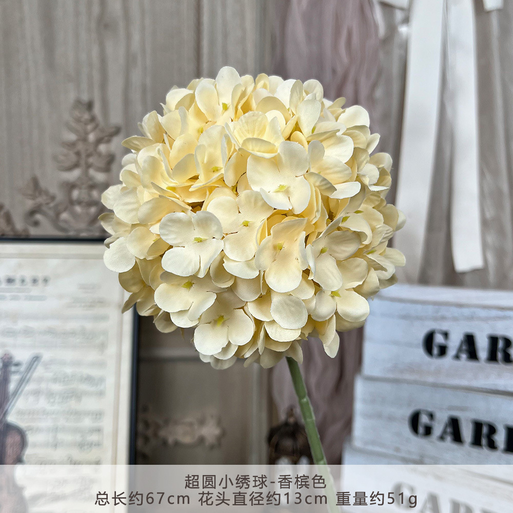 CB-超圆小绣球-香槟色