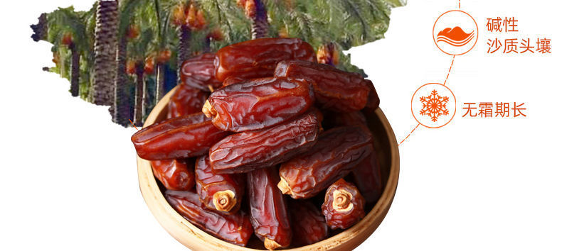 c8cb80fe-894c-41a2-a427-3137b70da6b2.jpe