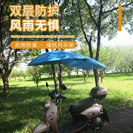 帐篷;天幕;遮阳/太阳伞