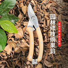 批发木柄枝剪园艺剪树枝果树果枝修枝剪花剪园林花艺省力粗枝剪子