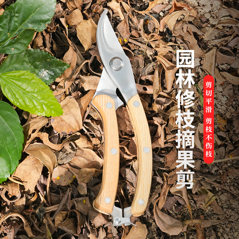批发木柄枝剪园艺剪树枝果树果枝修枝剪花剪园林花艺省力粗枝剪子