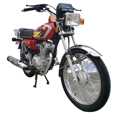 Two-Wheeled Wangye Motorcycle, Motosikletlər
