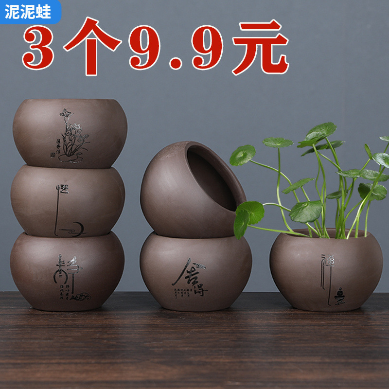 Purple Sand Ceramic Hydroponic Small Flower Pot Non-porous Flower Bowl Green Plant Container Small Fresh Desktop Flower Pot Non-porous Special