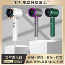 高速电吹风机家用负离子大功率发廊便携吹风筒批发亚马逊TEMU跨境