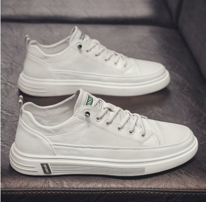 화이트 (캐주얼)