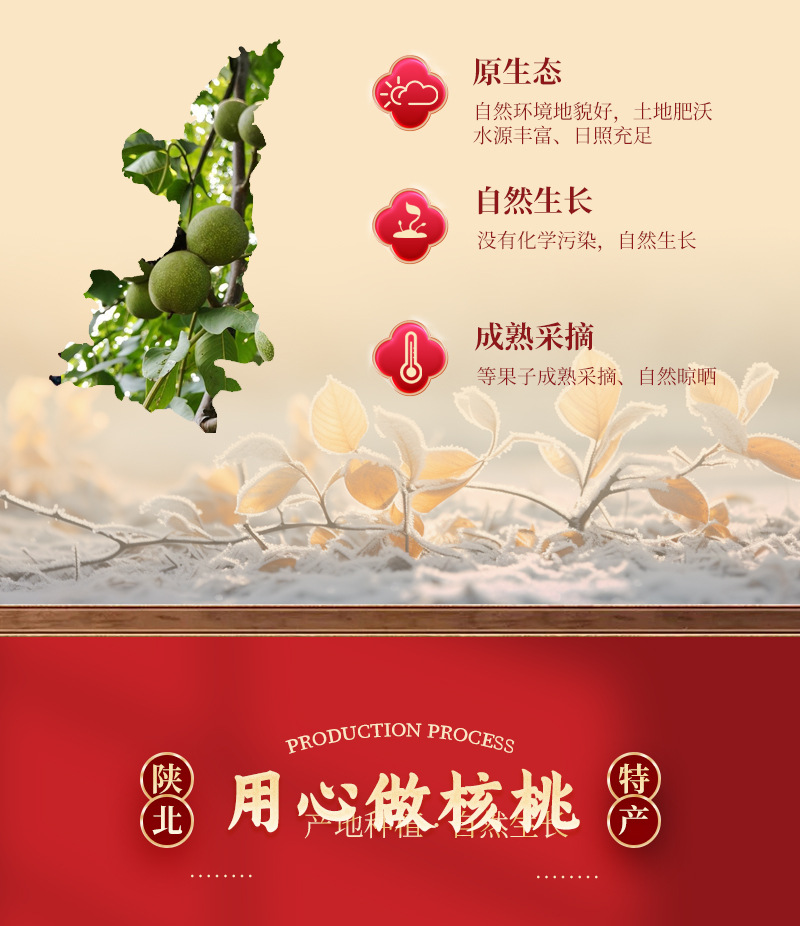 核桃-详情_05.jpg