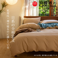 Japanese Nishikawa | Nordic Minimalist Bedding Set of Four All-Cotton Solid Color Cotton Comforter Cover Set for Men (Three Pieces) Literary Bed Sheet