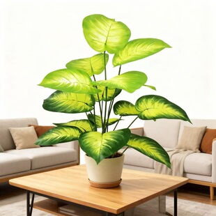 ܛ�z�����10�^���~�͏d���ҕ����Ƶ�����S��ֱ�N