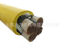 MCP 0.66/1.14KV 3*16+1*4+4*2.5  MCP 0.66/1.14KV 3*25+1*6