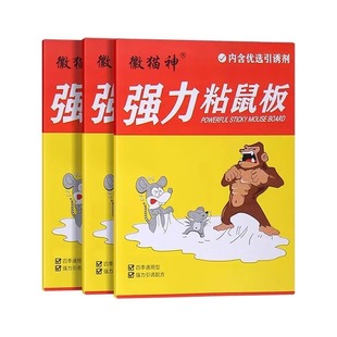 �����N����ճ��岶������ճ��� ���������z��؈��ճ���