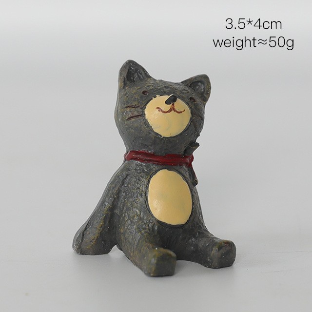 456-2 새끼 고양이