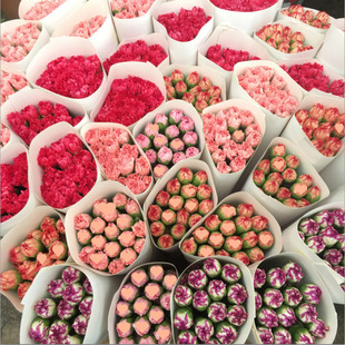 �r�����ֱ�l����ܰ����ˮ�B������������ĸ�H���oʿ�����]����