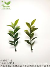 ���Ӳ��^�����Gֲ������� ���滨�辰���� �ӼҔ[�� �}�Q��ˇƷ