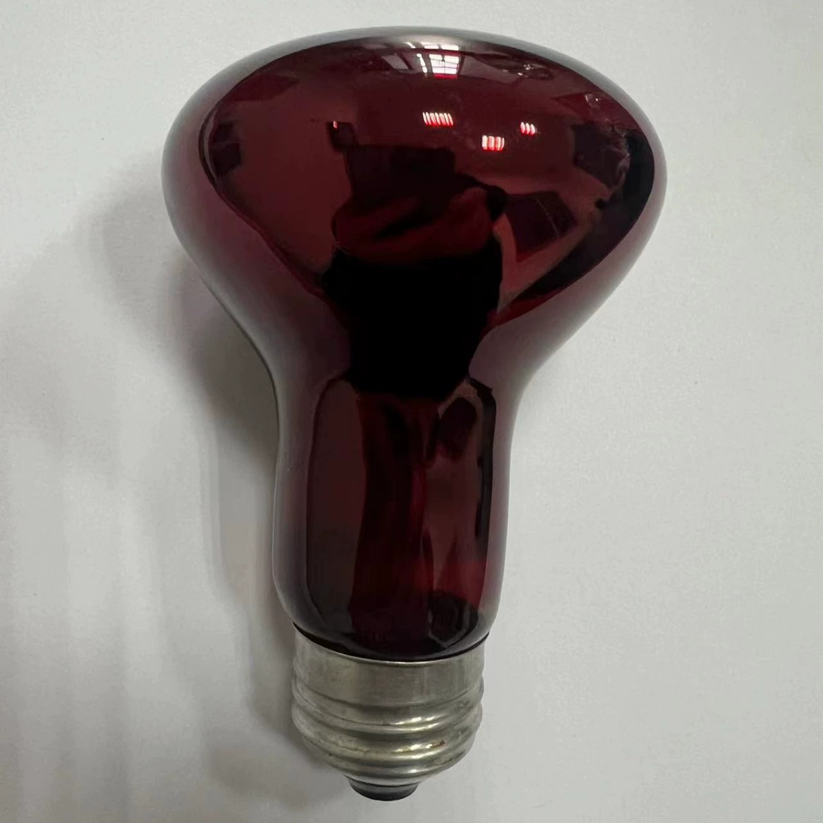 R63 лампочки для рептилий