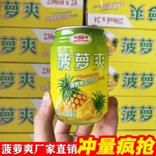 菠萝风味饮料整箱24瓶特价批发厂家直销罐装过年酒席外卖菠萝饮品