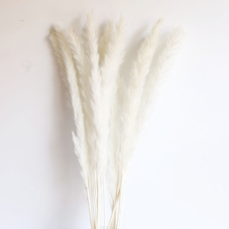 Flor seca Flor eterna Gypsophila Bola de oro No me olvides Flor seca Rosa hoja de eucalipto Pine Fruit Lover Grass al por mayor