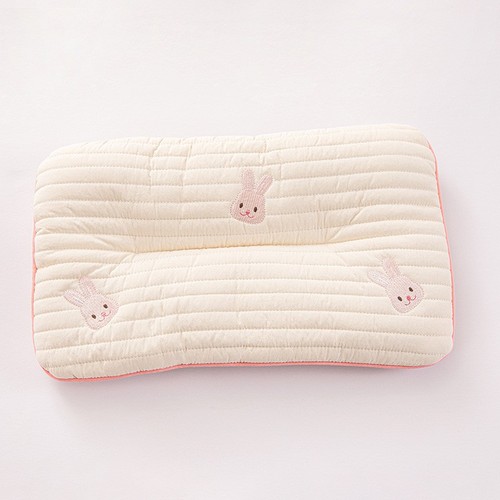 INS New Style Cotton Filled Embroidered Children's Pillow Breathable Sweat-Absorbent Shaping Pillow Kindergarten Baby Nap Pillow