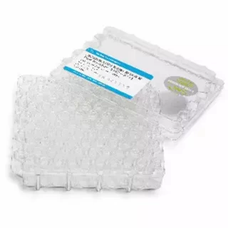 安捷伦2ml棕色螺纹口样品瓶5182-0716 带书写签，经认证，2 mL，1