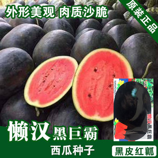 ���ϷN���������߲˷N�����l�˷N���ѷN�ӹ�˾�ļ����N