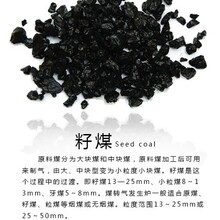 6000卡籽煤供应内蒙一三籽煤批发榆林一三籽神木不结焦一三籽销售