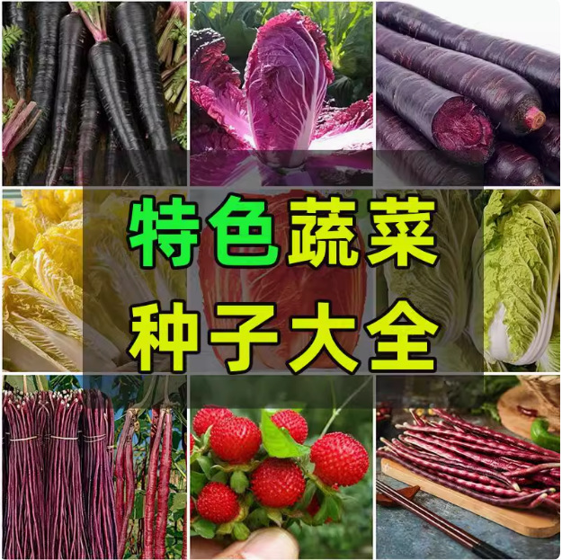 特色优质蔬菜种籽大全瓜果蛇莓白菜萝卜野菜大全原装正品蔬菜种子