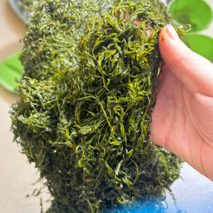 �����s�����r�}�n�Rβ�� ������ ���� ���� �L�۲�5���b�S��ֱ��