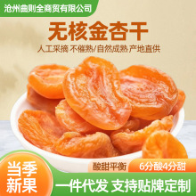 代发独立包装新疆红杏干无核杏脯自然晾晒杏脯肉不加糖无核金杏干