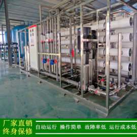 纯水机_东莞绿健供应反渗透设备_30T/HRO大型双级反渗透纯水设备