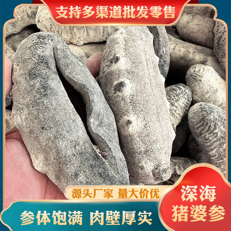 猪婆参进口野生花猪婆乌石参干货天然黑白猪婆参刺参酒席淡干海参