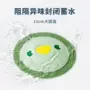 防虫卫生间防臭除臭地漏