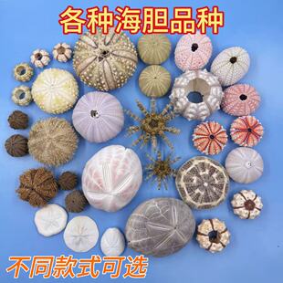 ��đ����Ȼ��đ��ؐ����ˇƷСҹ���Ĳ�diy�b�߅�����ΰ���
