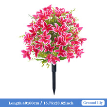 �F؛���l�羳�����ȼ����ٺϻ����滨�ز廨��Ʒ�����b���Gֲ