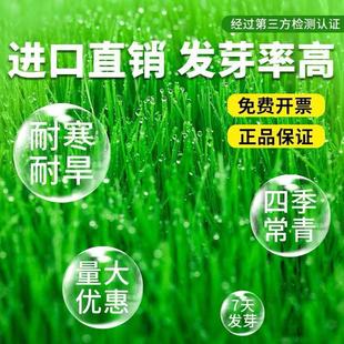 ���羳��؛������̲��Ѳ�ƺ�ݷN�ͺ��ļ�����N��ͥԺ�e���G���N