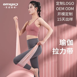 瑜伽辅助用品;其他健身器材;拉力器握力器