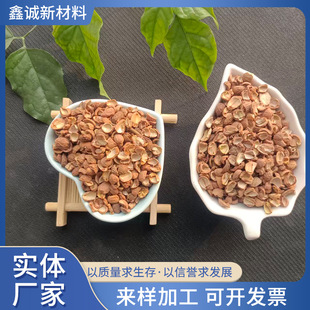 �ᗗ�� ���^�������ˮ̎��V�Ϲ��������©������