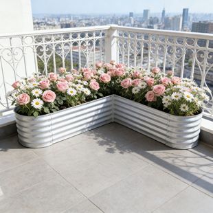 ���ν��ٷNֲ���ز˴��߲˷Nֲ�������ͥԺ���@�̨�߲˻��@��