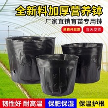 加厚营养杯营养钵批发育苗杯育苗盆黑色营养袋种植穴盆塑料杯大号
