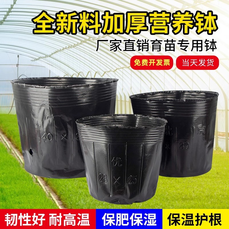 Thickened nutrition cup nutrition bowl batch development seedling…