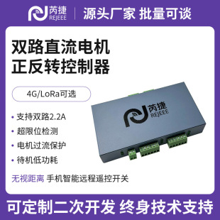 Ruijie Lora/4G Mobile Phone Wireless Remote Control Switch Solenoid Valve Control Water Pump Dc Motor Forward and Reverse