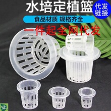 水培定植篮蔬菜无土栽培设备塑料加深种植蓝水耕植物定植杯固根器